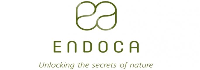 4 - Endoca 1