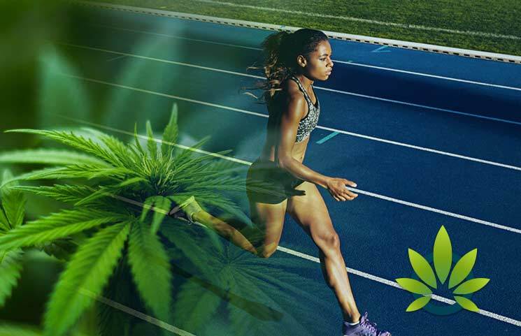 CBD For Sports Recovery 1