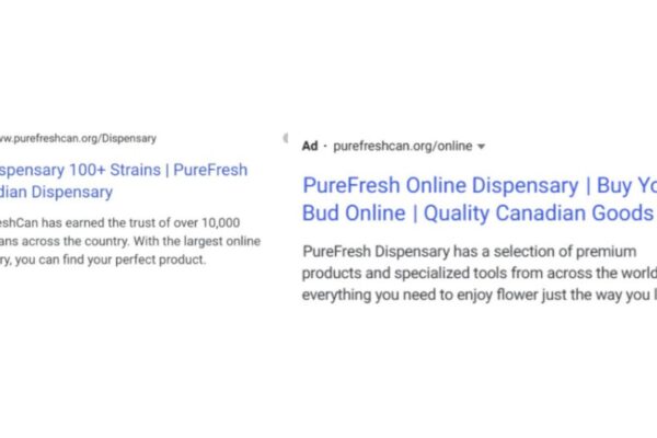 Google Ad for Pure Fresh